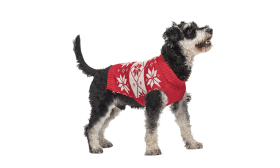 Jersey de Invierno Estampado para Perro Suéter rojo de invierno para perros con patrón de copos de nieve blancos, lavable, fibras acrílicas para comodidad óptima.