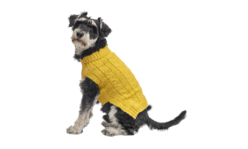 Suéter amarillo de algodón para perros con patrón de punto trenzado, mantiene a los perros acogidos en el frío.