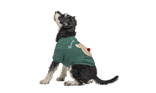 Abrigo navideño verde para perros con diseño de oso esponjoso en la parte trasera, para invierno y otoño.