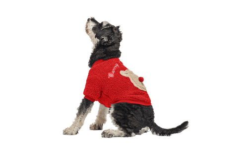 Abrigo navideño rojo para perros con diseño de oso esponjoso en la parte trasera, para invierno y otoño.
