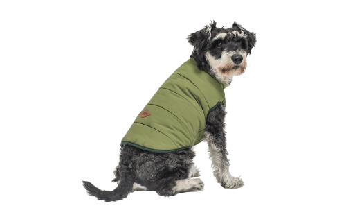 Chaleco de invierno verde para perros, resistente al viento, ajuste cómodo, diseñado para calor y protección en clima frío.