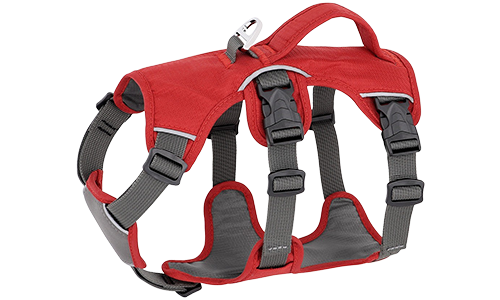Arnés impermeable rojo para perro con correas ajustables, adecuado para diferentes tipos de perros, con anillo plateado.