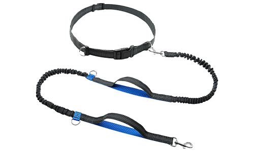Correa retráctil para perros de color azul, 70 - 120 cm de largo y 2.5 cm de ancho, cinturón ajustable, asas acolchadas.