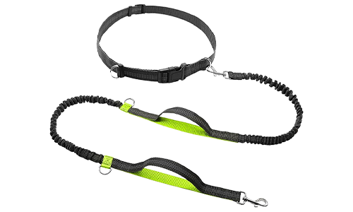 Correa retráctil para perros de color verde, 70 - 120 cm de largo y 2.5 cm de ancho, cinturón ajustable, asas acolchadas.