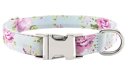 Collar para perros con patrón floral pastel, hebilla metálica ajustable, 27 - 40 cm de largo, con D-ring para sujeción.