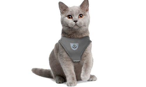 Chaleco reflectante para gato gris con correa a juego, práctico, incluye tela de malla transpirable y correa de 120 cm.