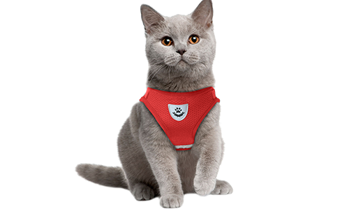 Chaleco reflectante para gato rojo con correa a juego, práctico, incluye tela de malla transpirable y correa de 120 cm.