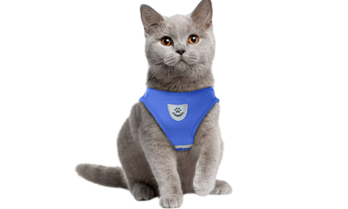 Chaleco reflectante para gato azul con correa a juego, práctico, incluye tela de malla transpirable y correa de 120 cm.