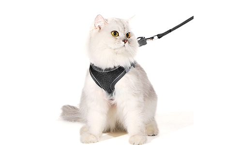 Chaleco reflectante para gato negro con correa a juego, ajustable y ligero, correa de 140 cm, para comodidad y visibilidad.