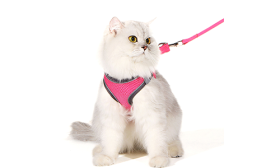 Chaleco reflectante para gato rosa con correa a juego, ajustable y ligero, correa de 140 cm, nylon de alta calidad.