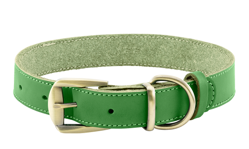 Collar de perro de cuero genuino verde, duradero y fuerte, material de cuero de alta calidad, con hebilla.