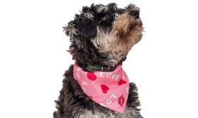Bandana rosa para perros con texto 'LOVE', corazones rojos y besos, perfecta para San Valentín, algodón de alta calidad.