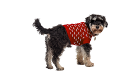 Jersey estampado con corazones para perros y gatos Perro con suéter rojo acogedor con patrones de corazones blancos, lavable a mano y a máquina para fácil mantenimiento.