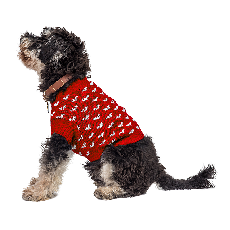 Jersey estampado con corazones para perros y gatos Perro con suéter rojo acogedor con patrones de corazones blancos, perfecto para calor y estilo en estaciones frías.