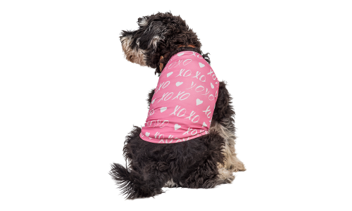 Perro con chaleco pequeño rosa de San Valentín con corazón blanco y 'XOXO', diseñado como atuendo festivo.