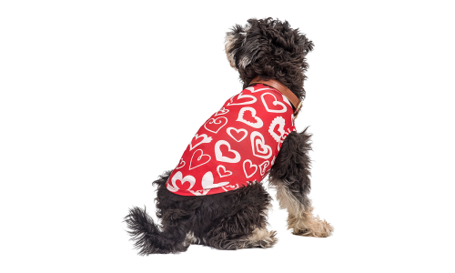Perro con chaleco rojo de San Valentín con corazón rojo y blanco, diseñado como un atuendo festivo y elegante.