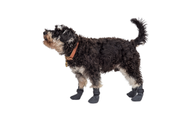 Calcetines Deportivos para Perros Set de 4 calcetines deportivos para perros en gris con suelas antideslizantes, ligeros, material fácil de limpiar.