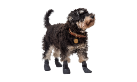 Calcetines Deportivos para Perros Set de 4 calcetines deportivos para perros en gris con suelas antideslizantes, ligeros, goma antideslizante.