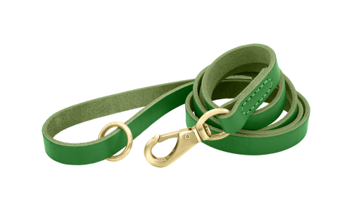 Correa de cuero genuino verde para perros, 150 cm de largo, cómoda, con gancho y anilla dorados para durabilidad.