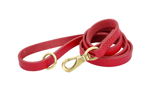 Correa de cuero genuino rojo para perros, 150 cm de largo, cómoda, con gancho y anilla dorados para durabilidad.