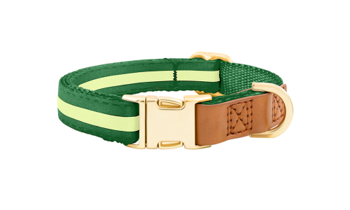Collar para perros verde con hebilla metálica dorada ajustable, 27-40 cm de largo, con D-ring para sujeción.