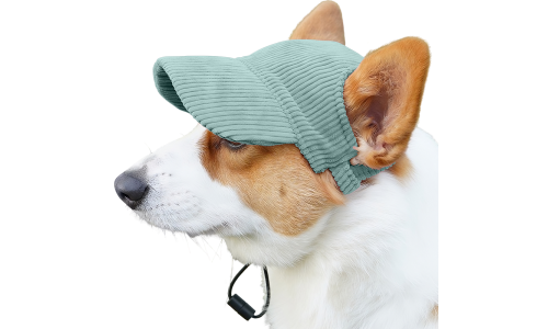Corgi con sombrero deportivo de perro verde de punto transpirable, ligero, para proteger del sol durante salidas veraniegas.