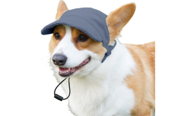 Gorra Deportiva Transpirable para Perros en Verano Corgi con sombrero deportivo de perro azul de punto transpirable, moderno, suave, material de lienzo ligero para comodidad.