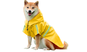 Impermeable para Perro con Franja Reflectante Shiba Inu con impermeable amarillo con tiras reflectantes, fácil de poner y quitar, ideal para paseos bajo la lluvia.