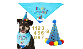 Kit de Bandana de Cumpleaños para Perro Set de cumpleaños para perro azul con bandana colorida '¡Es mi cumpleaños!', ligero para comodidad del perro.
