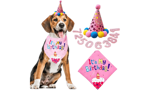 Set de cumpleaños para perro rosa con bandana colorida '¡Es mi cumpleaños!', suave y duradero.