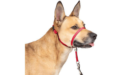 Collar de cabeza rojo sin tirones para perro con correa ajustable negra y bucle acolchado, tamaño pequeño.