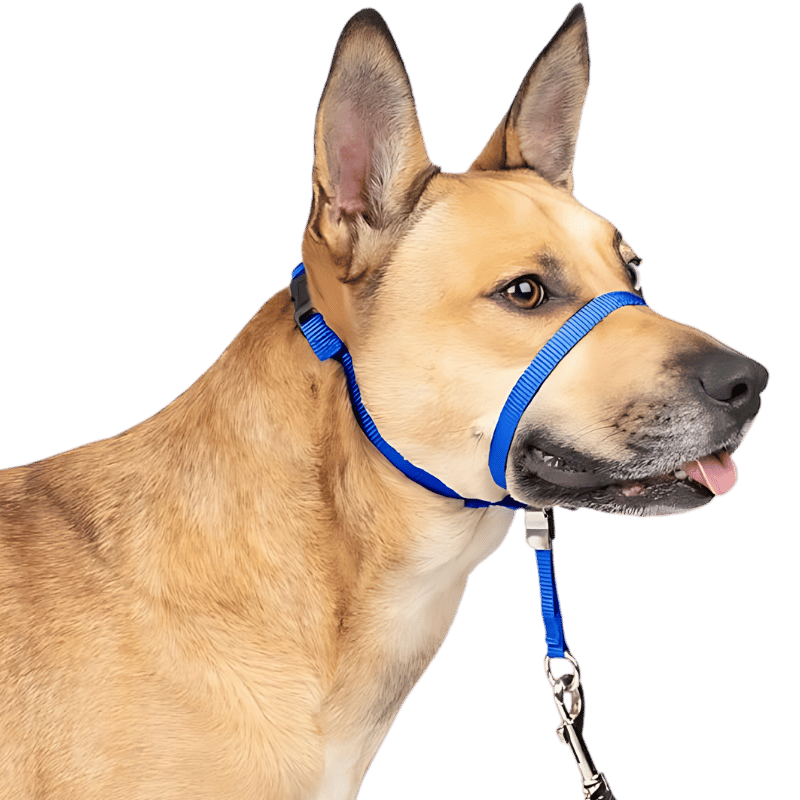 Collar de Cabeza para Perro Antitirones con Lazo Acolchado para la Nariz Collar de cabeza azul sin tirones para perro con correa ajustable negra y bucle acolchado, tamaño pequeño.