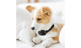 Collar anti-ladridos sin descarga con diseño de huella, ajustable, para perros de 12 a 110 lbs hasta 22 pulgadas.