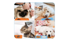 Alfombrilla de Lamer para Perros no Tóxica con Espátula Alfombrilla de Lamer para Perros no Tóxica con Espátula