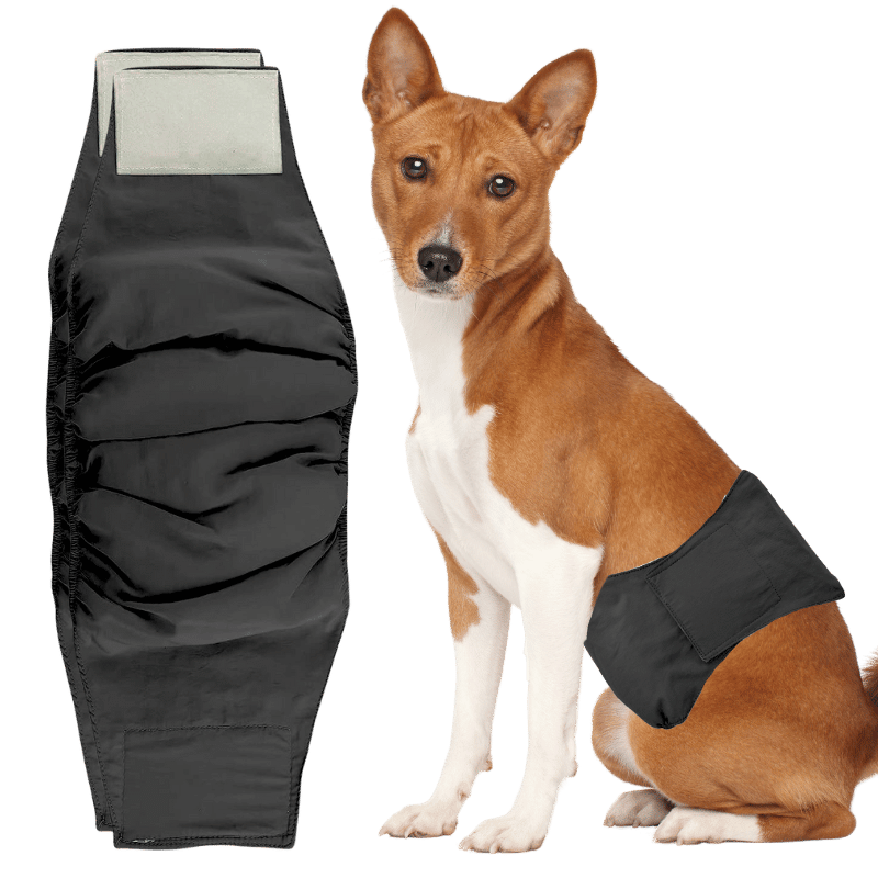 Pañal lavable Premium para Perros Machos