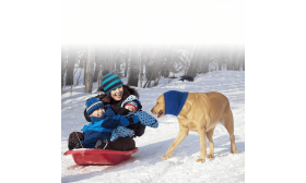 Bufanda tubular Antiestrés para Perros para Protección de Orejas contra Ruidos y Frío