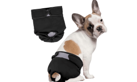 Pañal lavable Premium para Perros Hembra Pañal lavable Premium para Perros Hembra