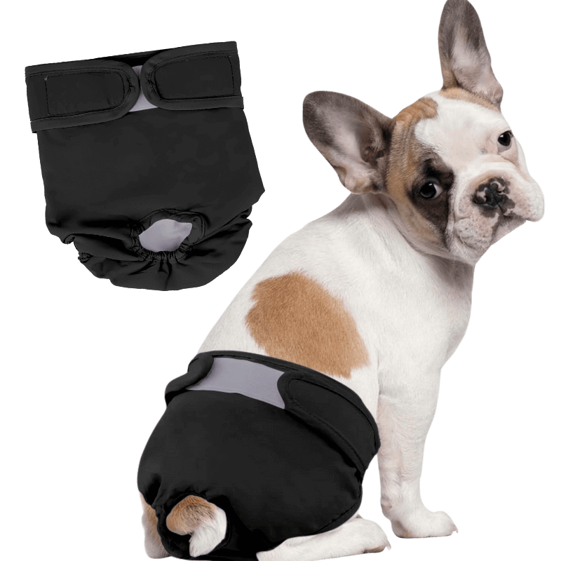 Pañal lavable Premium para Perros Hembra