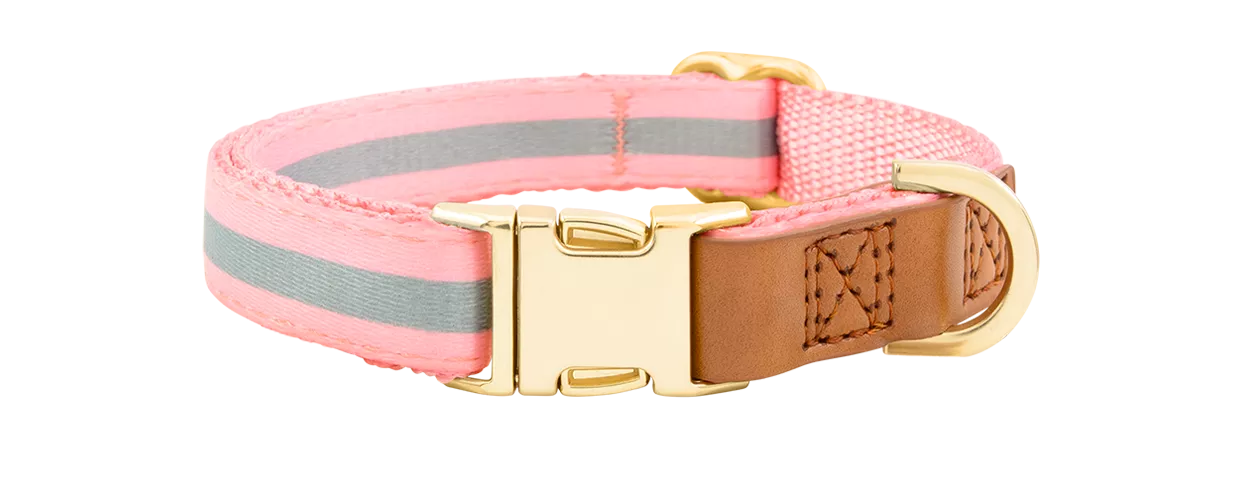 Collar de Perro con Hebilla Dorada Grabada Collar rosa claro para perros con hebilla metálica dorada para grabar el nombre, 27-40 cm de largo, con anilla en D.