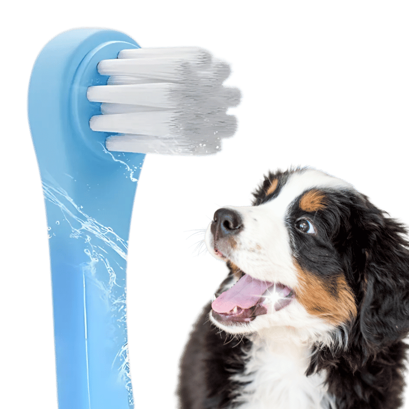 Cepillo Dental suave para Perros y Gatos con Cerdas suaves de Nailon