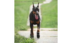 Botas para Perros Reflectantes 360° – Impermeables y Antideslizantes para Mayor Seguridad