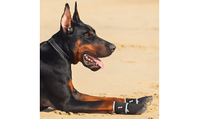 Botas para Perros Reflectantes 360° – Impermeables y Antideslizantes para Mayor Seguridad