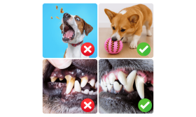 Pelota Interactiva para Perros – Juguete Mordedor de Goma con Dispensador de Premios