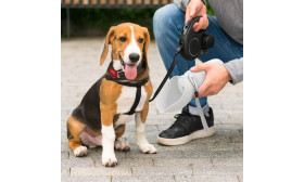 Botella de Agua plegable para perros de 550 ml – Cuenco de viaje para mascotas de silicona apta para uso alimentario Botella de Agua plegable para perros de 550 ml – Cuenco de viaje para mascotas de silicona apta para uso alimentario
