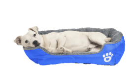Cama blanda para perros Cama blanda para perros