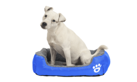 Cama blanda para perros Cama blanda para perros