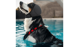 Protectores auditivos ajustables para perro