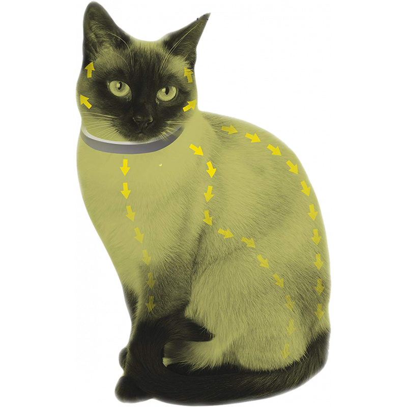 collar antipulgas y garrapatas para gatos