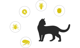 Collar natural anti pulgas y garrapatas para gatos Collar natural para gatos, protección específica contra pulgas, garrapatas, larvas, piojos y mosquitos.