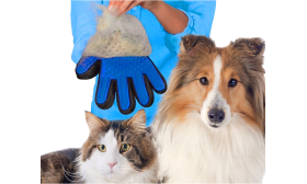 Guante de Aseo para Perro Persona sosteniendo el guante azul junto a un perro y un gato, mostrando su uso para el cepillado de mascotas.